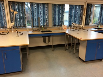 Vibeskolen