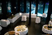Bláa Lónið - LAVA restaurant