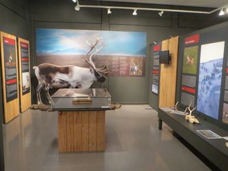 Fljótsdalshérað - Safnahúsið - Minjasafn