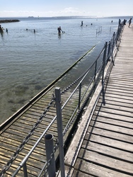 Nivå Strand