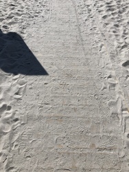 Nivå Strand