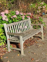 Gråsten Skovdistrikt / Gråsten Slotspark