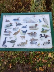 Gråsten Skovdistrikt / Gråsten Slotspark