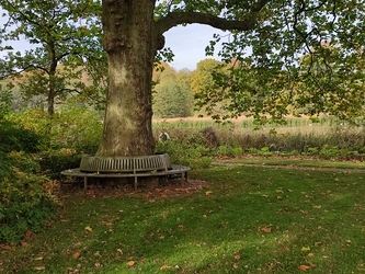 Gråsten Skovdistrikt / Gråsten Slotspark