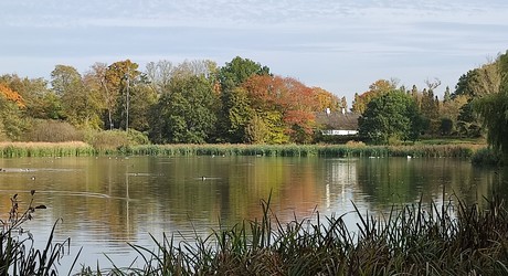 Gråsten Skovdistrikt / Gråsten Slotspark
