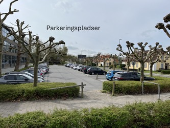 Dalumskolen