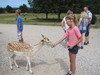 Skandinavisk Dyrepark Djursland