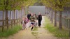 Skandinavisk Dyrepark Djursland - Billetsalg og parkering