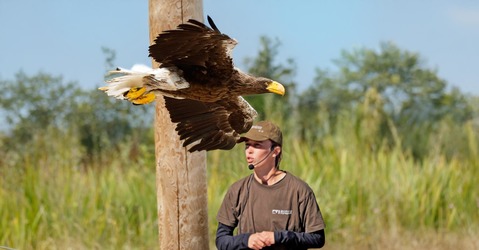 Skandinavisk Dyrepark Djursland - Publikumsfaciliteter