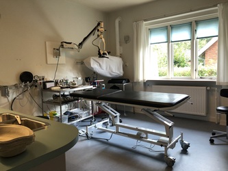 Øre-, Næse og Halsklinikken