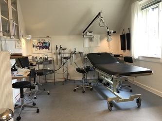 Øre-, Næse og Halsklinikken