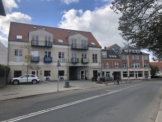 Gigtlægerne