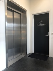 Gigtlægerne