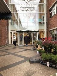 Holte Plastikkirurgi