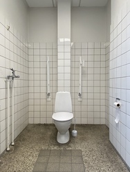 Voksentandplejen