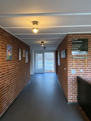 Speciallæge i Neurologi