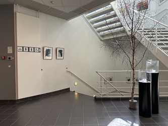 Messe C Fredericia - Konferencecenter, Toilet i kælderen