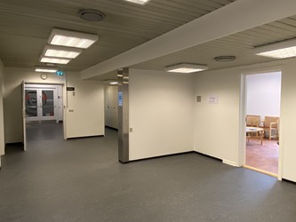 Ortopro