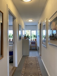 Psykiater Annette Scherling