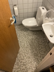 Psykiater Annette Scherling