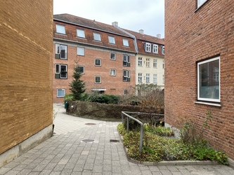 Ørelæge Lyngby