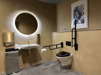 DGI Byen - CPH Conference - Toilet i stueplan