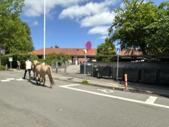 Skovgårdsskolen - Valgsted