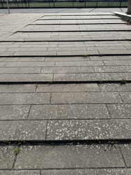 Frederiksberghallerne - Valgsted