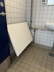 Frederiksberghallerne - Valgsted