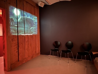 Kroppedal Museum -  Udstillingen