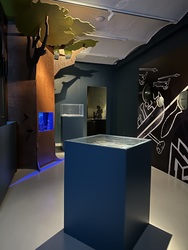 Kroppedal Museum -  Udstillingen