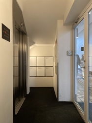 Øjenlæge Louise Hillerup