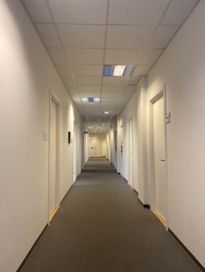 Speciallæge Jimmy Collemorten