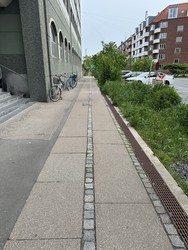 Psykiater Helle Baagland - alternativ indgang