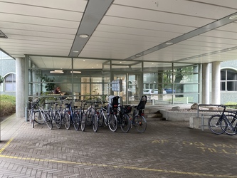 Psykiater Helle Baagland - alternativ indgang