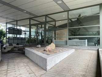 Psykiater Helle Baagland - alternativ indgang