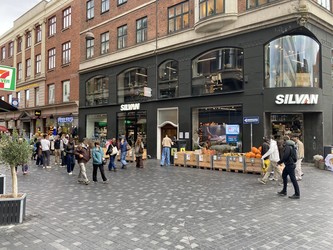 Øjenlæge Tine Engell