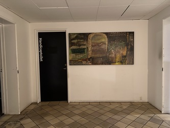 Copenhagen Eye Institute