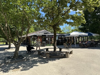 Givskud Zoo - Zootopia - Område P3