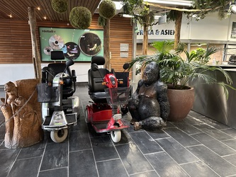 Randers Regnskov -   Indgang og parkering