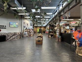 Randers Regnskov -   Indgang og parkering