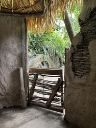 Randers Regnskov - Afrika og Asien