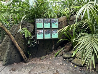 Randers Regnskov - Afrika og Asien