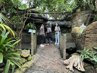 Randers Regnskov - Afrika og Asien