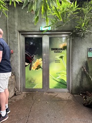 Randers Regnskov - Afrika og Asien