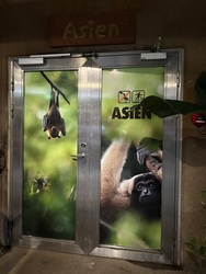 Randers Regnskov - Afrika og Asien