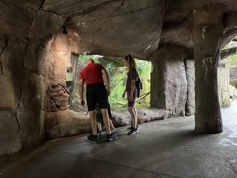 Randers Regnskov - Afrika og Asien