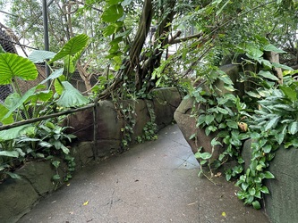 Randers Regnskov - Afrika og Asien