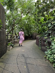 Randers Regnskov - Afrika og Asien