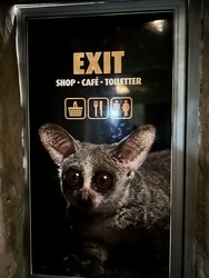 Randers Regnskov - Afrika og Asien